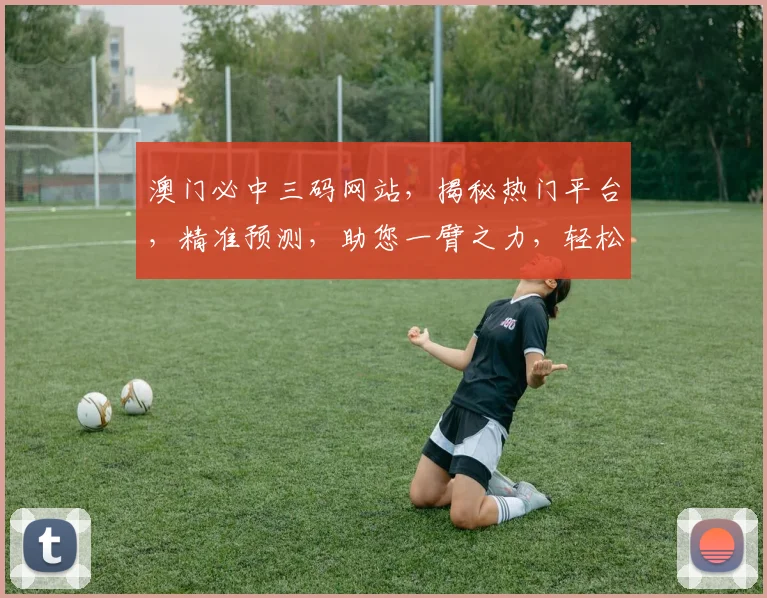 澳门必中三码网站，揭秘热门平台，精准预测，助您一臂之力，轻松盈利