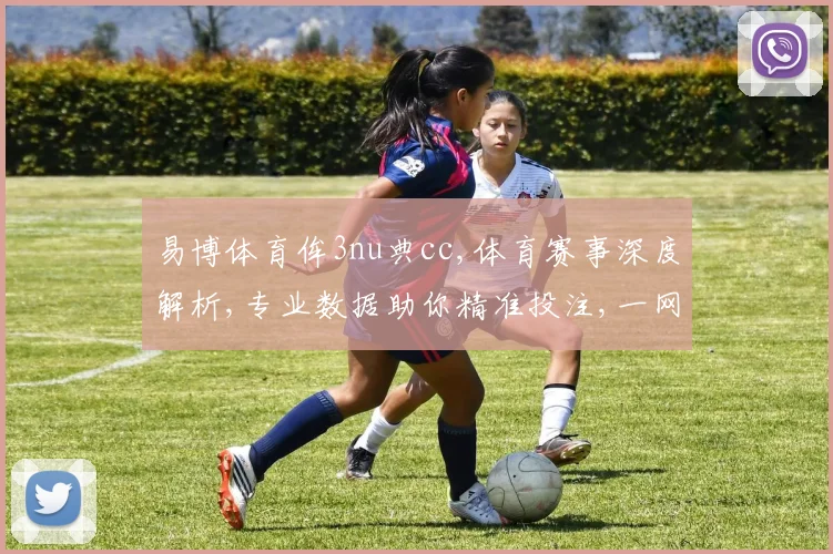 易博体育侔3nu典cc,体育赛事深度解析,专业数据助你精准投注,一网打尽