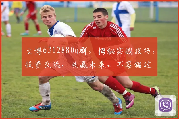 立博6312880q群，揭秘实战技巧，投资交流，共赢未来，不容错过